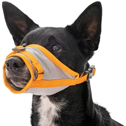 Ruffwear BackTrak Evacuation Kit 6