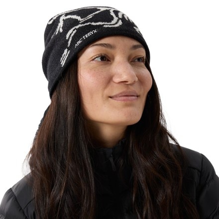 Arc'teryx Bird Head Toque Beanie 3