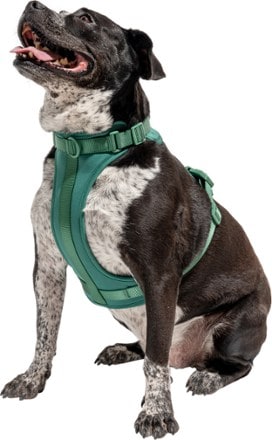 Wild One Dog Harness 1