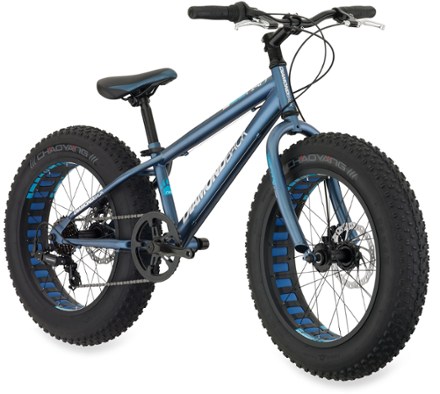 fat bike for kids