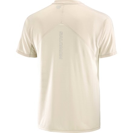 Salomon Sense Aero GFX T-Shirt - Men's 5