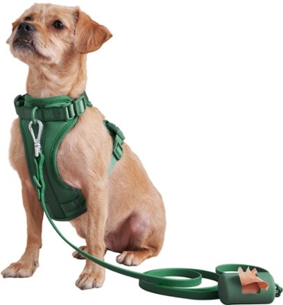 Wild One Poop Bag Carrier Leash and harness not included