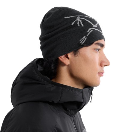 Arc'teryx Lightweight Bird Head Toque 3