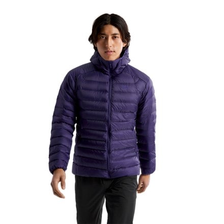Arc'teryx Cerium Down Hoody - Men's 1