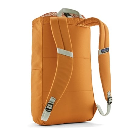 Patagonia Fieldsmith Linked Pack 3