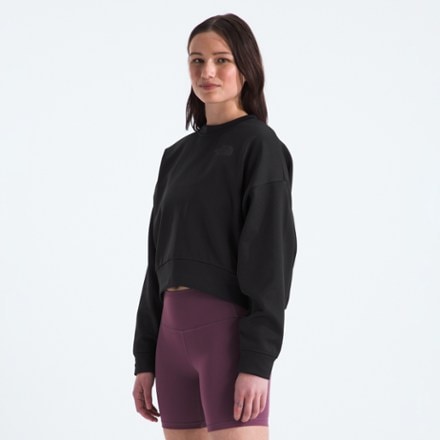 The North Face Horizon Fleece Crew Shirt - Women's 4