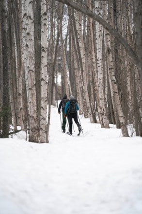 Madshus Panorama M68 Cross-Country Skis 5