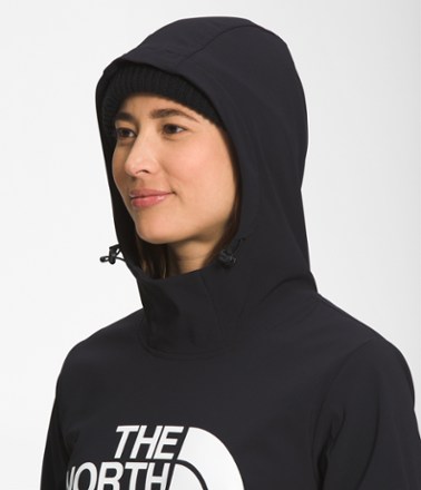 The North Face Tekno Logo Hoodie - Women's 2