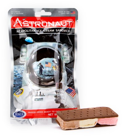 Astronaut Neapolitan Ice Cream Sandwich