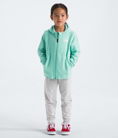 The North Face Glacier Full-Zip Hoodie - Toddlers' 4