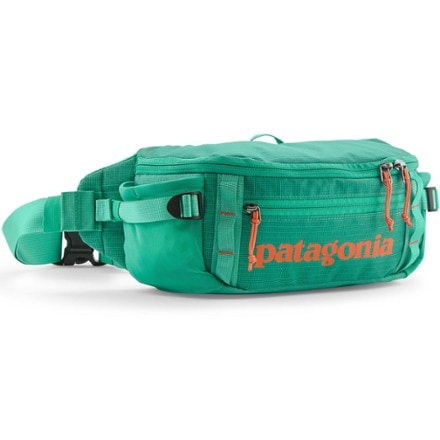 Patagonia Black Hole Waist Pack 5 L 0