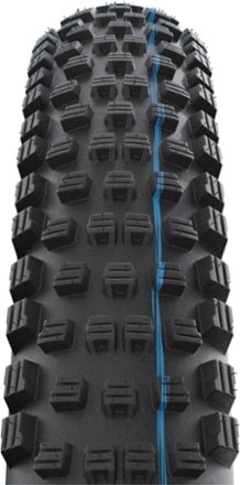 Schwalbe Wicked Will Evolution Super Trail Addix Speedgrip Tire 2