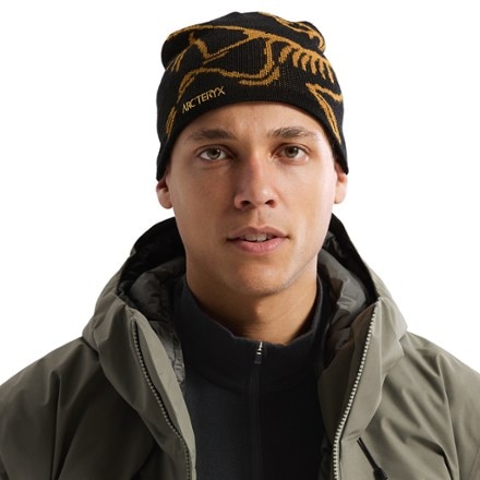 Arc'teryx Bird Head Toque Beanie 1