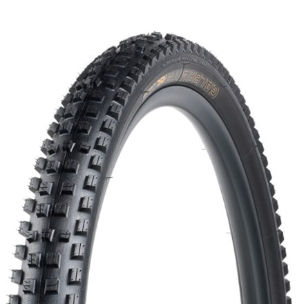 Bontrager Galbraith RSL SE TLR MTB Tire 0