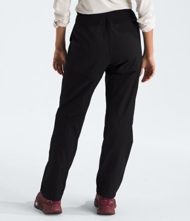 The North Face Basin Pro Pants - Women's 2