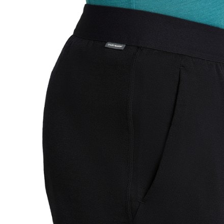 Icebreaker Merino Blend 300 RealFleece Descender Joggers - Men's 4