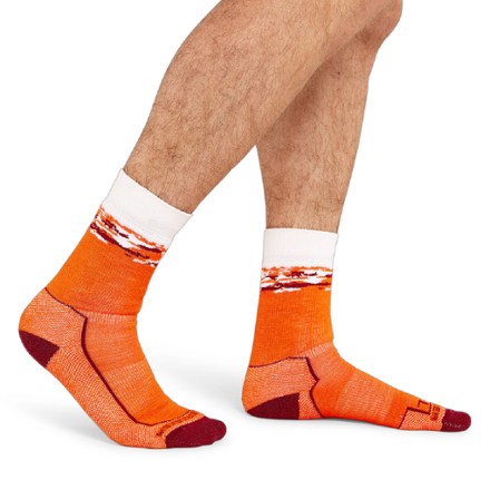 Icebreaker Hike+ Medium Crew Sedimentary Socks - Men's 1