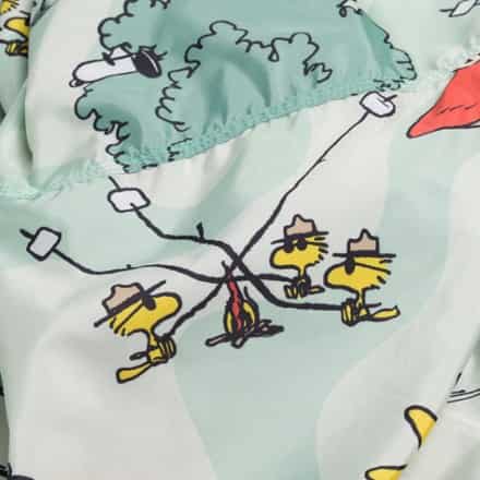 Parks Project Peanuts x Parks Project Hammock 4