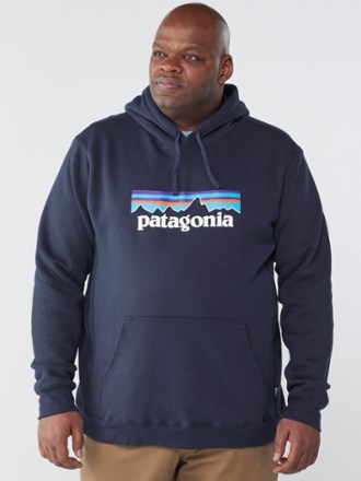 patagonia hoode