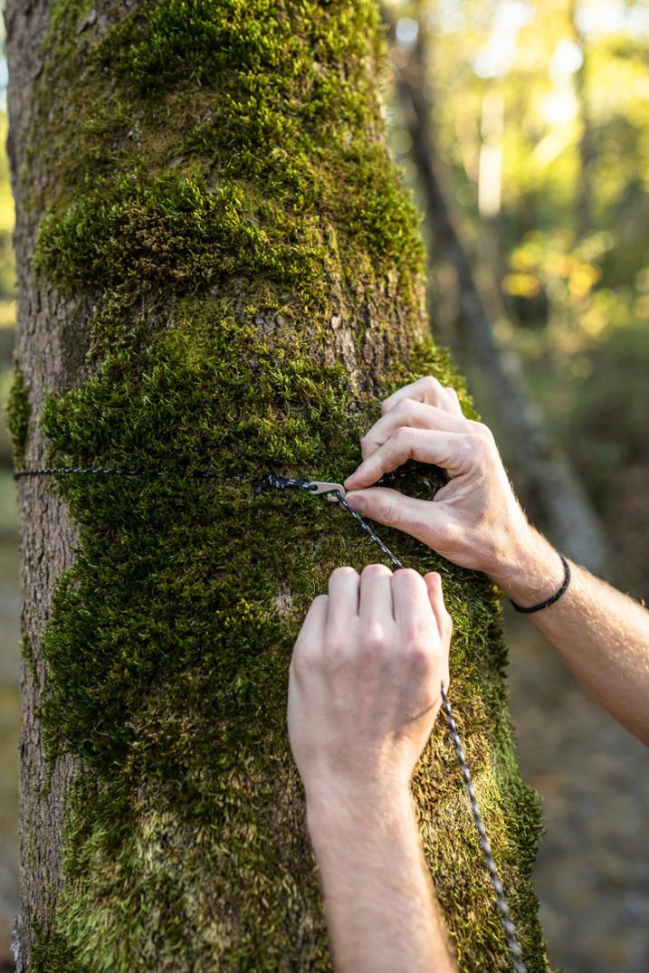 Location Image for Guardian Bug Net