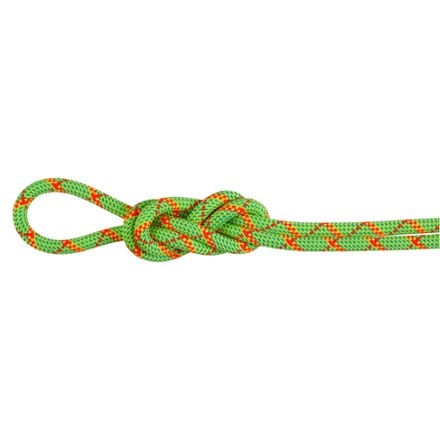 Mammut Alpine Core Protect Dry 8.0 mm Rope 0