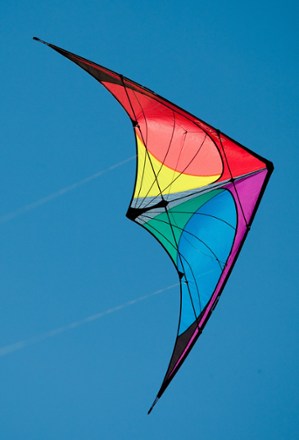 Prism Designs Nexus Kite | REI Co-op