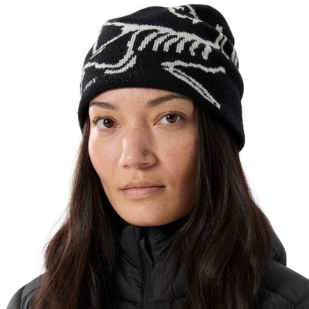 Arc'teryx Bird Head Toque Beanie 1