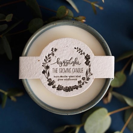 Hyggelight- The Growing Candle Willow Candle - Apple/Pine Scent 2