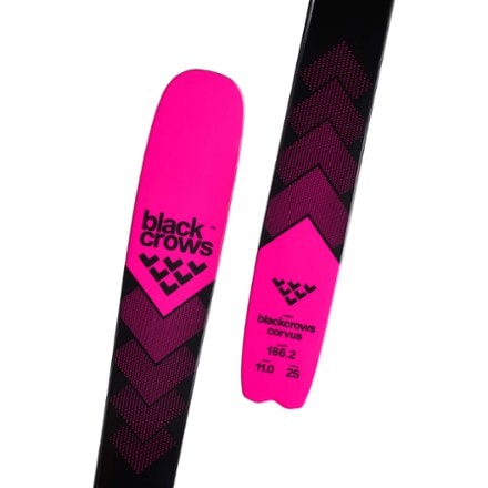 black crows Corvus Skis - 2024/2025 3