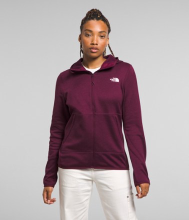 The north face women's zip up clearance hoodie