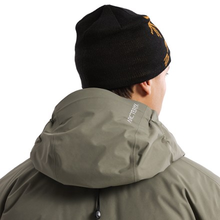 Arc'teryx Bird Head Toque Beanie 2