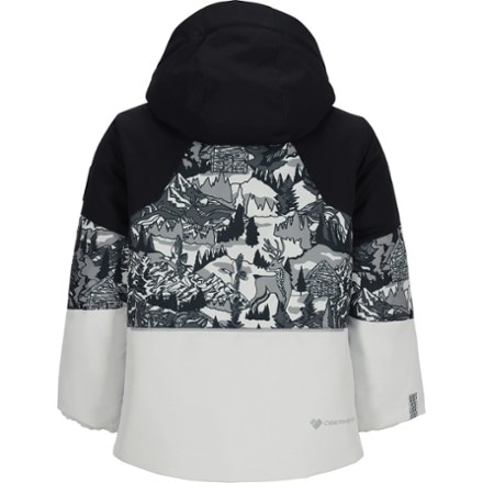 Obermeyer Altair Insulated Jacket - Kids' 4