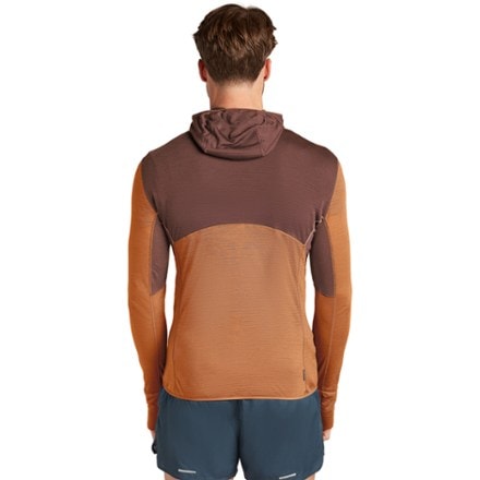 Icebreaker Merino Blend 200 Realfleece Descender Long-Sleeve Half-Zip - Men's 2