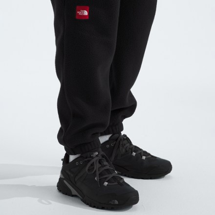 The North Face Fleeski Pants - Men's 5