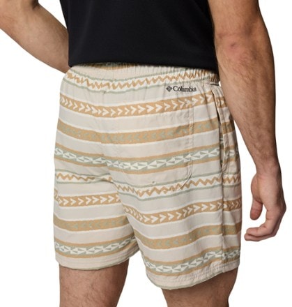 Columbia Mountaindale River Shorts - Men's 4