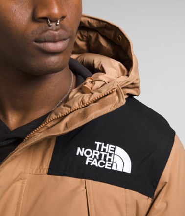 The north face mountain hotsell down coat