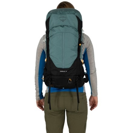 Osprey Sirrus 36 Pack - Women's 4