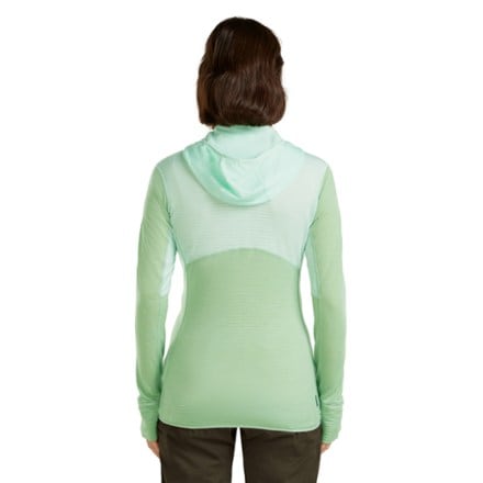 Icebreaker Merino Blend 200 RealFleece Descender Long-Sleeve Zip Hoodie - Women's 2