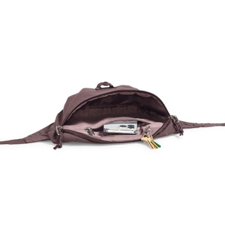 The North Face Glen Canyon Lumbar Pack 2