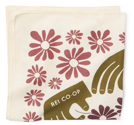 REI Co-op Graphic Bandana 2