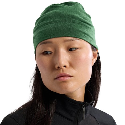 Arc'teryx Rho Lightweight Wool Beanie 1