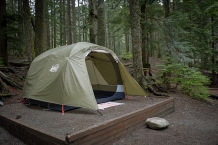 Location Image of color Forest Floor