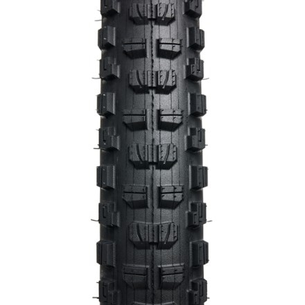 Bontrager Brevard Pro XR TLR Tire 1