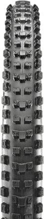 Maxxis Dissector 3C MaxxTerra DD Tire 1