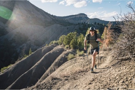 Black Diamond Distance Carbon FLZ Trekking Poles - Pair 10