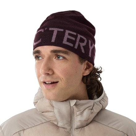 Arc'teryx Word Head Toque 4