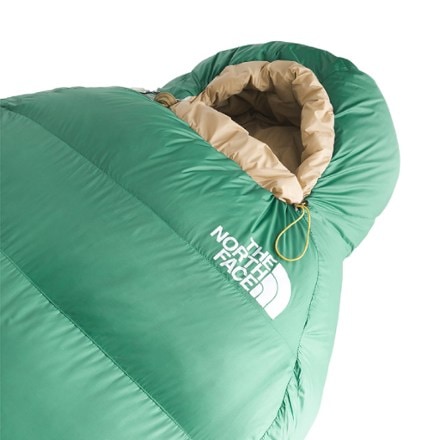 The North Face Trail Lite Down 0 Sleeping Bag 1