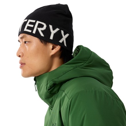 Arc'teryx Word Head Toque 3