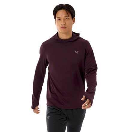 Arc'teryx Cormac Heavyweight Hoodie - Men's 1