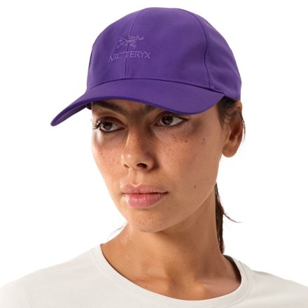 Arc'teryx Bird Word Cap 2